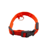 collier pour chien
