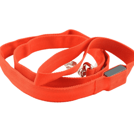 laisse lumineuse rouge