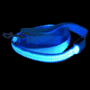 laisse fluorescente nuit bleue