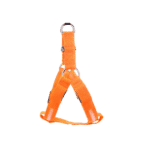 harnais orange lumineux pour chien