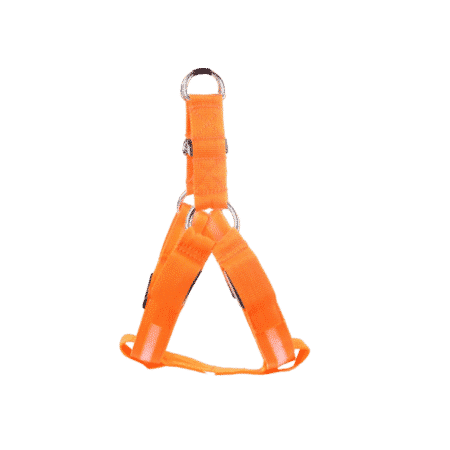 harnais orange lumineux pour chien