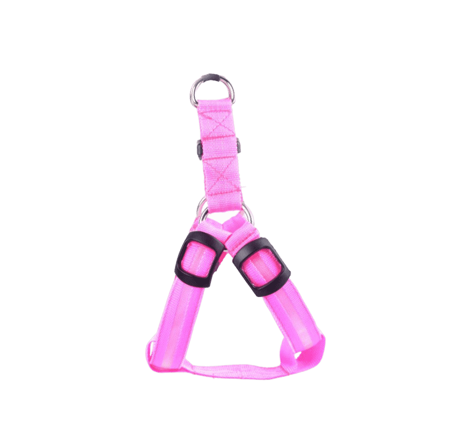 harnais rose lumineux pour chien