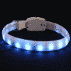 Collier lumineux bleu