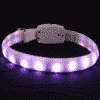Collier lumineux violet