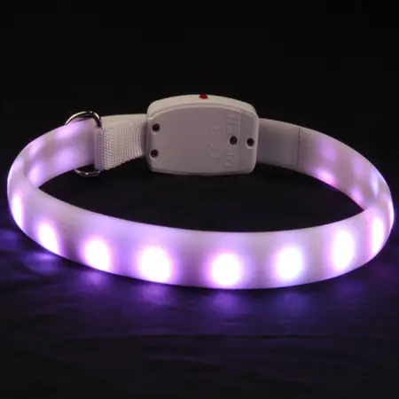 Collier lumineux violet