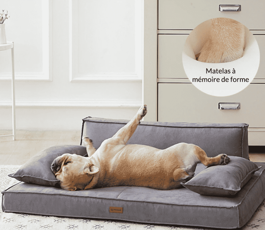 canapé pour chien gris à mémoire de forme