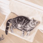 hamac beige pour chat