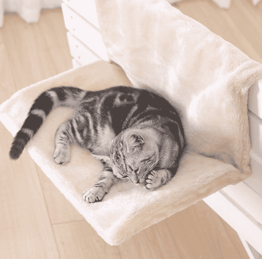 hamac beige pour chat