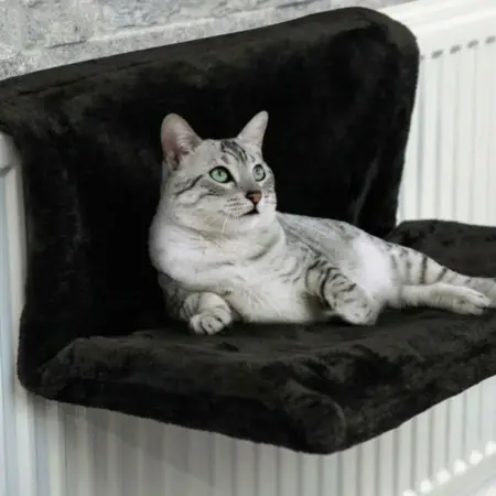 hamac noir pour chat