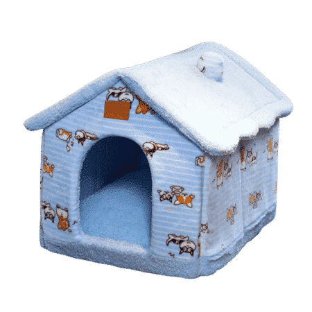 maison couleur bleue pour chien