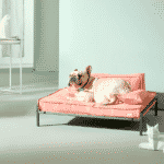 photo produit canapé rouge pour chien